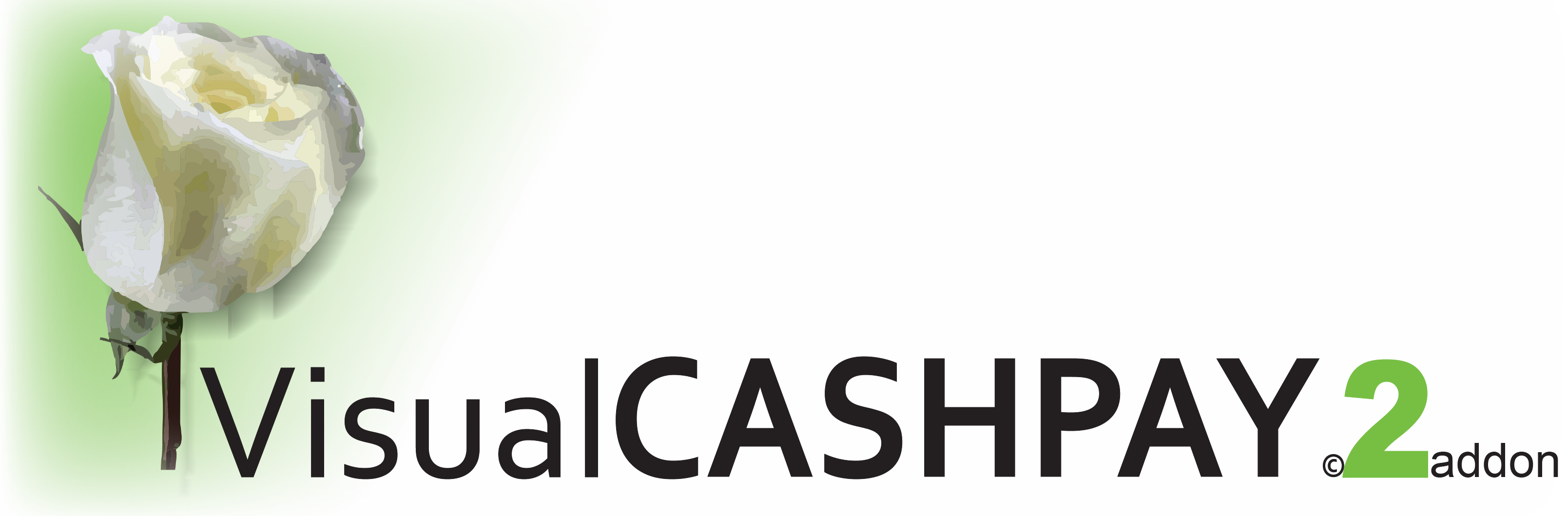 VisualCashPayLogo